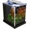 Show in main carousel: Fluval EBI Shrimp Aquarium Kit, 2.6-gal slide 2 of 9