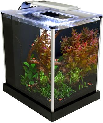 Show full view: Fluval EBI Shrimp Aquarium Kit, 2.6-gal slide 2 of 9