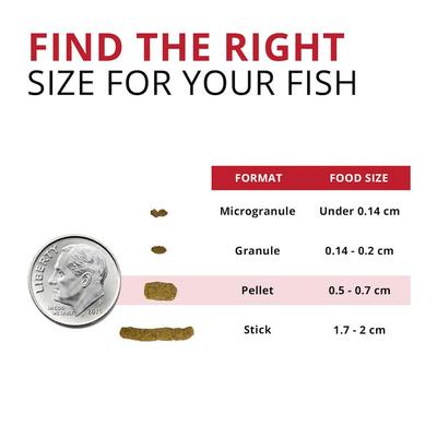 Show full view: Fluval Fl Bug Bites Cichlid Formula Medium & Large Pellets Fish Food, 3.74-lb slide 3 of 8