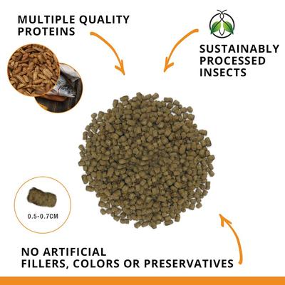 Show full view: Fluval Fl Bug Bites Goldfish Formula Medium & Large Pellets Fish Food, 3.5-oz slide 2 of 9