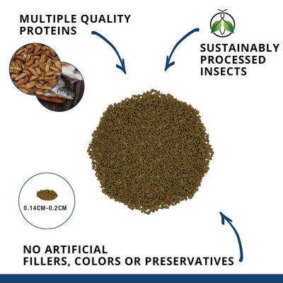 Show full view: Fluval Fl Bug Bites Tropical Freshwater Formula Medium & Large Granules Fish Food, 4.4-oz slide 2 of 9