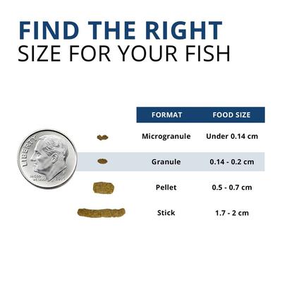 Show full view: Fluval Fl Bug Bites Tropical Freshwater Formula Medium & Large Granules Fish Food, 4.4-oz slide 3 of 9