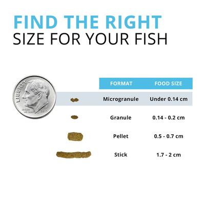 Show full view: Fluval Fl Bug Bites Tropical Freshwater Formula Small Granules Fish Food, 1.6-oz slide 3 of 8