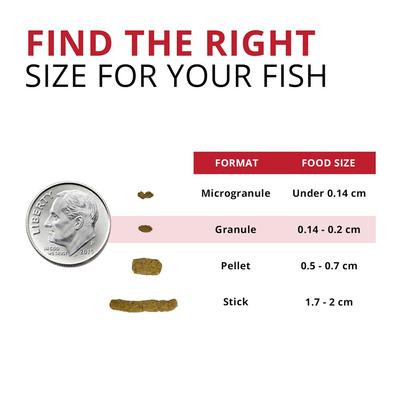 Show full view: Fluval Fl Bug Bites Tropical Freshwater Formula Small Granules Fish Food, 3.74-lb slide 3 of 8