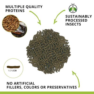 Show full view: Fluval Fl Bugbites Bottfeeder Formula Sticks Pleco Fish Food, 4.6-oz slide 2 of 9