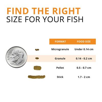 Show full view: Fluval Fl Bugbites Goldfish Formula Small Granules Fish Food, 1.6-oz slide 3 of 6