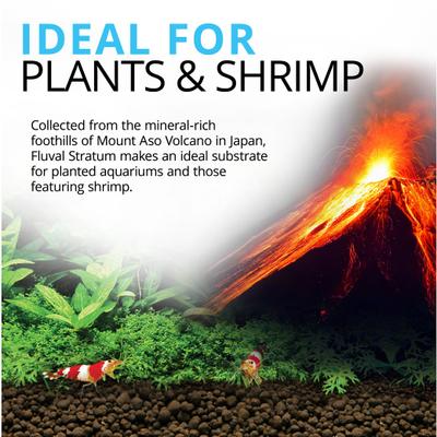 Show full view: Fluval Plant & Shrimp Stratum Plant Care, 17.6-lb bag slide 2 of 8