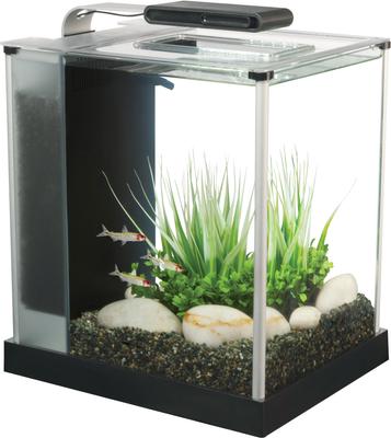 Show full view: Fluval Spec Aquarium Kit, 2.6-gal slide 3 of 11