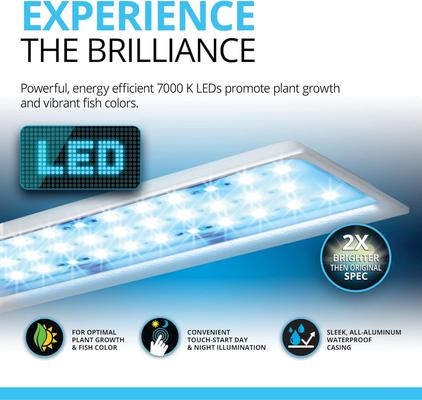 Show full view: Fluval Spec Aquarium Kit, 2.6-gal slide 8 of 11