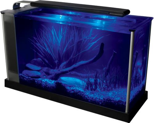 Show full view: Fluval Spec Aquarium Kit, 5-gal slide 2 of 11