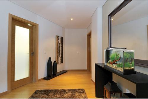 Show full view: Fluval Spec Aquarium Kit, 5-gal slide 4 of 11