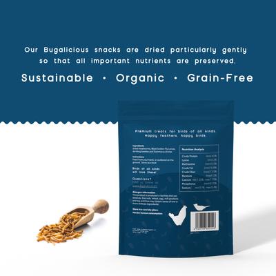 Show full view: FLYGRUBS Bugalicious Bird Treats, 30-oz bag slide 1 of 7