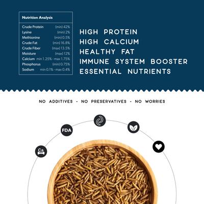 Show full view: FLYGRUBS Bugalicious Bird Treats, 30-oz bag slide 3 of 7