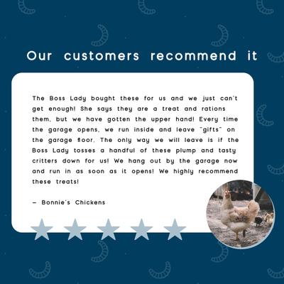 Show full view: FLYGRUBS Bugalicious Bird Treats, 30-oz bag slide 7 of 7