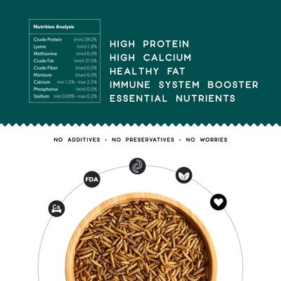 Show full view: FLYGRUBS BugBites Bird Treats, 30-oz bag slide 3 of 7