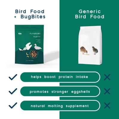 Show full view: FLYGRUBS BugBites Bird Treats, 30-oz bag slide 6 of 7