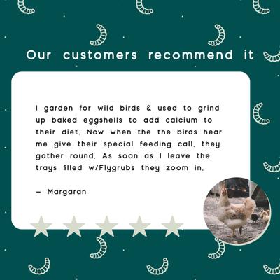 Show full view: FLYGRUBS BugBites Bird Treats, 30-oz bag slide 7 of 7