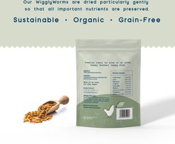 FLYGRUBS WigglyWorms Bird Treats, 10-oz bag slide 2 of 7