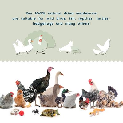 Show full view: FLYGRUBS WigglyWorms Bird Treats, 3.5-oz bag slide 4 of 7