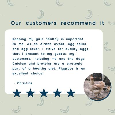 Show full view: FLYGRUBS WigglyWorms Bird Treats, 3.5-oz bag slide 7 of 7