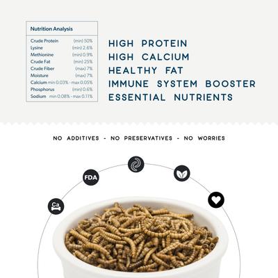 Show full view: FLYGRUBS WigglyWorms Bird Treats, 30-oz bag slide 3 of 7