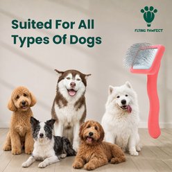 Flying Pawfect Flat Slicker Dog Brush, Coral, Medium slide 2 of 5