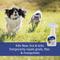 Show in main carousel: Flys-Off Insect Repellent Spray for Dogs & Cats, 6-fl oz slide 2 of 8