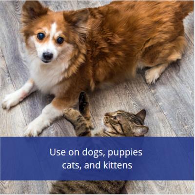 Show full view: Flys-Off Insect Repellent Spray for Dogs & Cats, 6-fl oz slide 4 of 8