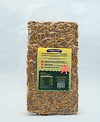 Forager's Feed BSFL Cake Poultry Treats, 1.0-lb bag slide 2 of 3