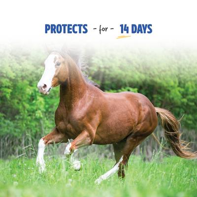 Show full view: Manna Pro Opti-Force Sweat Resistant Fly Horse Spray, 1-gal bottle slide 5 of 8