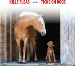 FORCE Pro-Force Horse Fly Spray, 1-gal jug slide 2 of 7