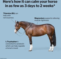 Formula 707 Calming Apple Flavor Pellets Horse Supplement, 10-lb bag slide 2 of 6