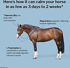 Formula 707 Calming Apple Flavor Pellets Horse Supplement, 5-lb bag slide 2 of 6