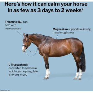 Formula 707 Calming Apple Flavor Pellets Horse Supplement, 5-lb bag