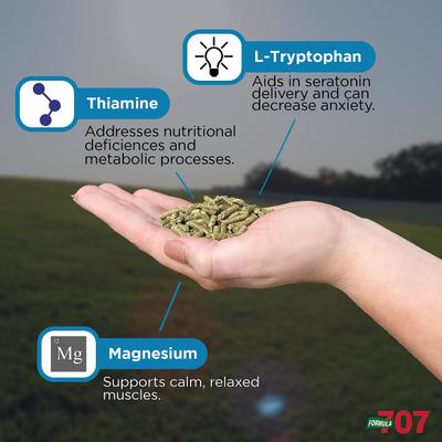 Show full view: Formula 707 Calming Grain Flavor Pellets Horse Supplement, 2-oz pouch, 28 count slide 5 of 7