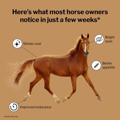 Show full view: Formula 707 Daily Essentials Vitamins & Minerals Hay Flavor Pellets Horse Supplement, 6-lb bag slide 2 of 8