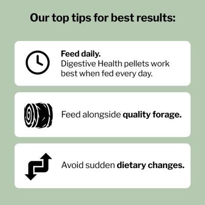 Show full view: Formula 707 Digestive Health Pellets Horse Supplement, 4-lb bucket slide 5 of 8