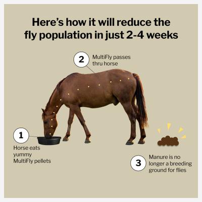 Show full view: Formula 707 MultiFly Feed-Thru Horse Fly Control, 10-lb bag slide 2 of 6
