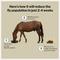 Show in main carousel: Formula 707 MultiFly Feed-Thru Horse Fly Control, 5-lb bag slide 2 of 6