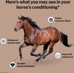 Formula 707 MuscleMx Muscle Care Hay Flavor Pellets Horse Supplement, 3-lb bag slide 2 of 5