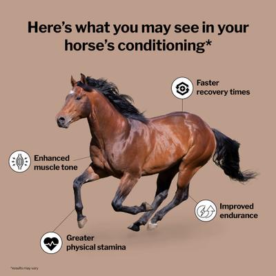 Show full view: Formula 707 MuscleMx Muscle Care Hay Flavor Pellets Horse Supplement, 3-lb bag slide 2 of 7