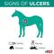 Show in main carousel: Formula 707 ULZERless Digestive Health Hay Flavor Pellets Horse Supplement, 28 count slide 5 of 9
