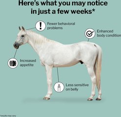 Formula 707 ULZERless Digestive Health Pellets Horse Supplement, 7.5-lb bucket slide 2 of 6