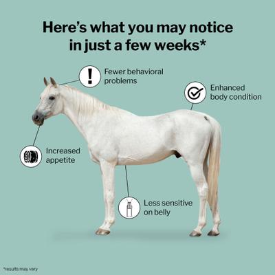 Show full view: Formula 707 ULZERless Digestive Health Pellets Horse Supplement, 7.5-lb bucket slide 2 of 8