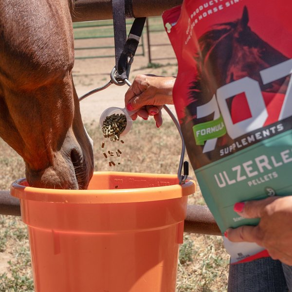 Formula 707 ULZERless Digestive Health Pellets Horse Supplement, 7.5-lb bucket