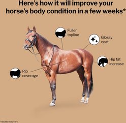 Formula 707 Weight Gain Crumble Horse Supplement, 7-lb bag slide 2 of 6