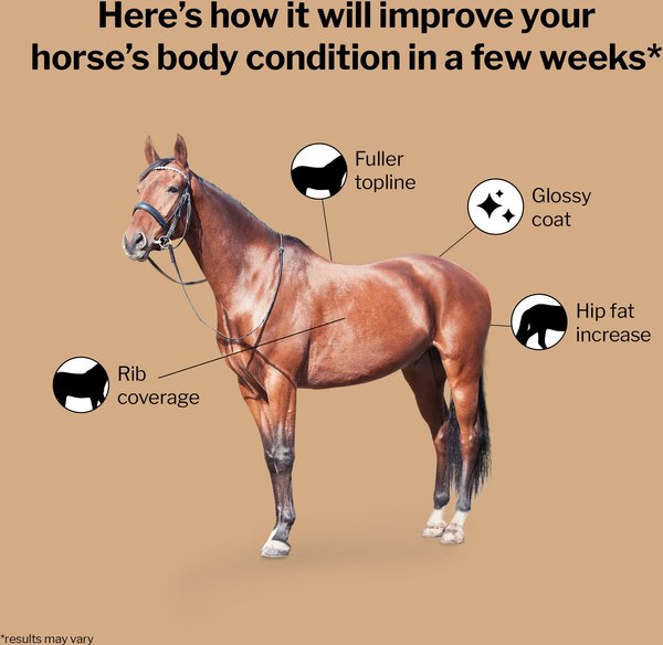 Show full view: Formula 707 Weight Gain Crumble Horse Supplement, 7-lb bag slide 2 of 9
