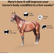 Show in main carousel: Formula 707 Weight Gain Crumble Horse Supplement, 7-lb bag slide 2 of 9