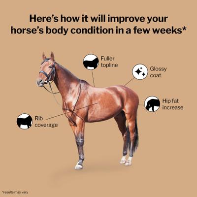 Show full view: Formula 707 Weight Gain Crumble Horse Supplement, 7-lb bag slide 2 of 9