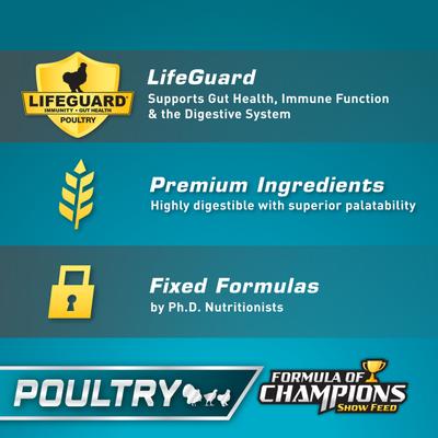 Show full view: Formula of Champions 22% Protein Pellet Fancy & Feathered Show Chicken Feed, 50-lb bag slide 7 of 9